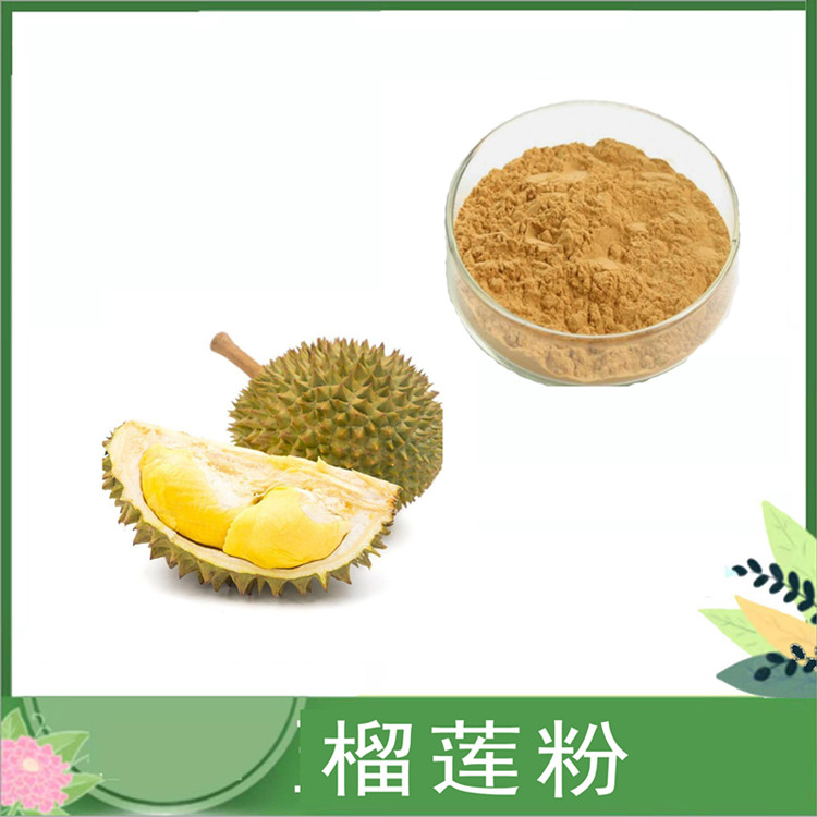 榴莲粉 水溶性榴莲果粉 榴莲汁粉 饮料糕点原料果粉 可发样 SC厂家供应