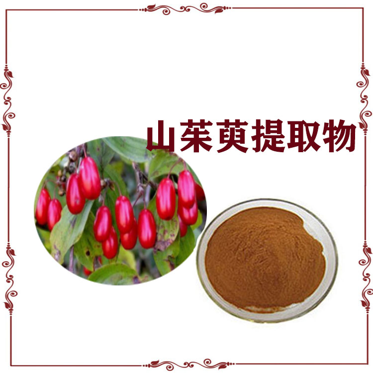 山茱萸提取物 速溶粉 流体浸膏 大量现货 可定制