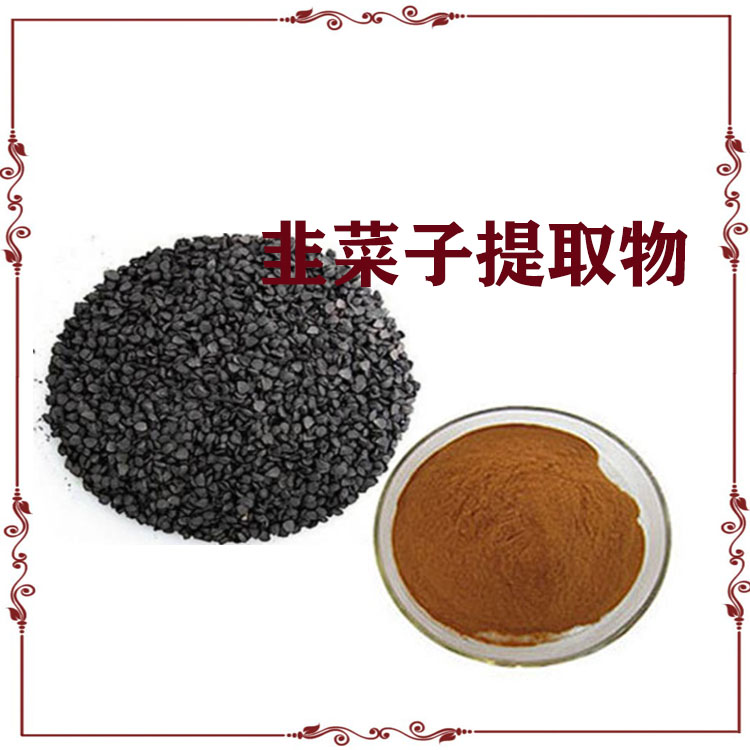 韭菜子提取物 速溶粉 萃取粉 120目精细粉末 质量稳定