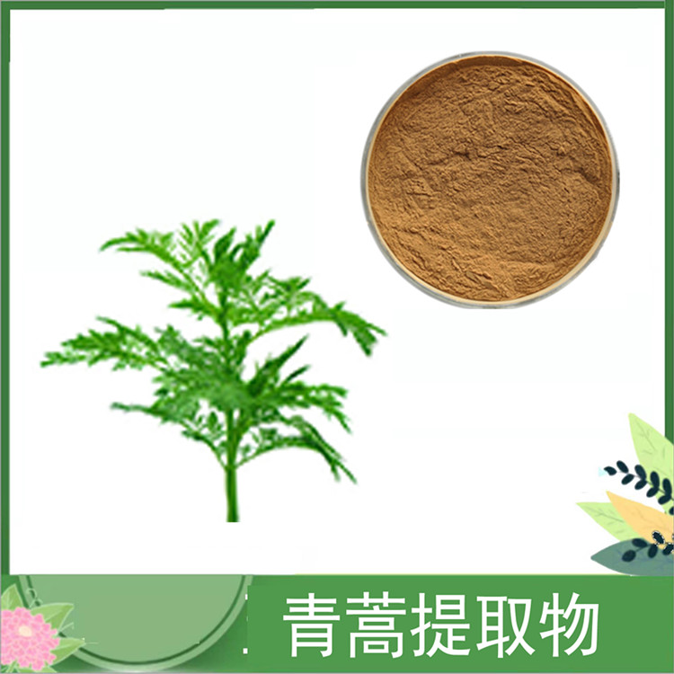 10:1比例青蒿提取物 青蒿粉 水溶性 黄花蒿浓缩粉 青蒿素 现货 订做提取液