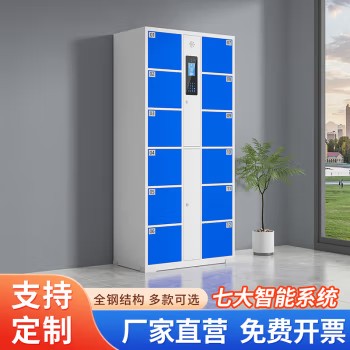 超市电子存包柜商场智能储物柜条码柜指纹微信人脸识别手机寄存柜