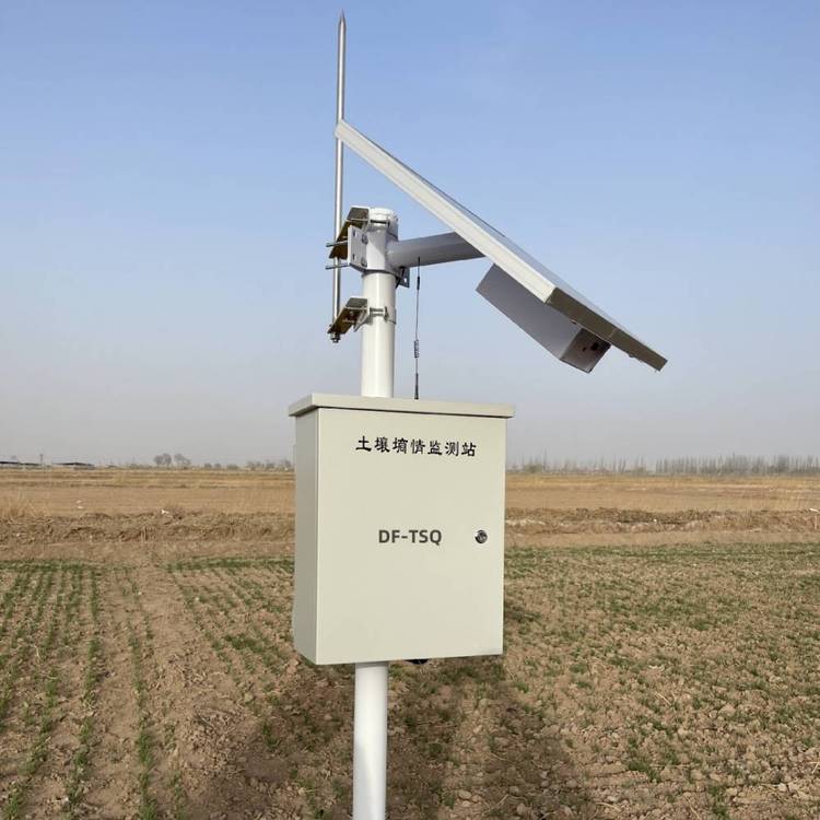 剖面土壤水分测量系统 DF-TPS 土壤温湿度 无线传输 太阳能