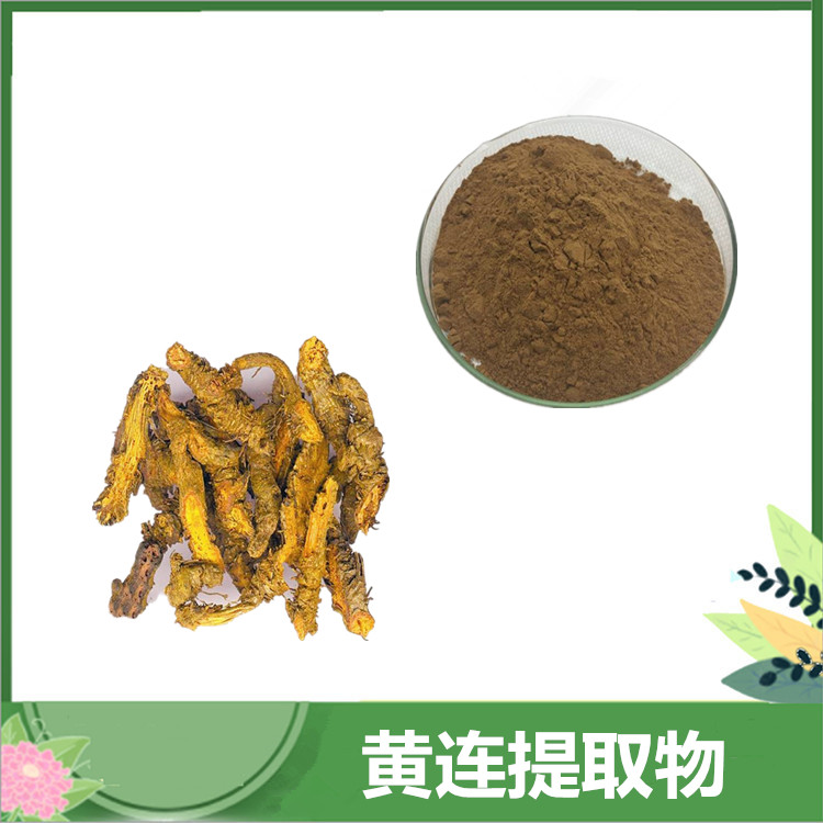 硫酸小檗碱 98%黄连素 黄连提取物10:1 比例萃取硫酸小檗碱 厂家供应