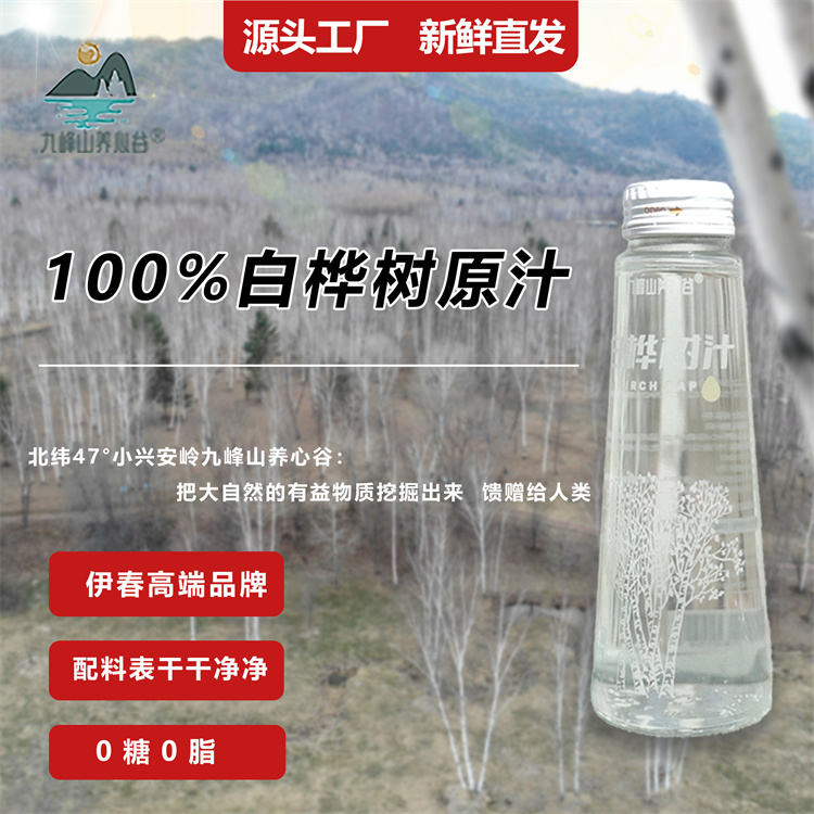 280ml白桦树汁 专业厂家