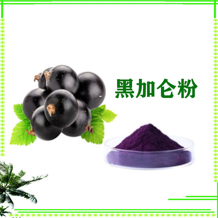 黑加仑提取物10:1 黑加仑粉 速溶粉 大量库存 质量稳定