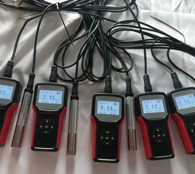 便携式溶氧仪 东方鑫鸿 DYS-1 溶解氧 温度 LCD显示