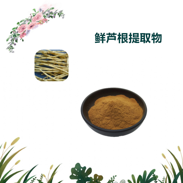 沃特莱斯生物 鲜白茅根提取物 速溶粉 萃取粉 1公斤起订