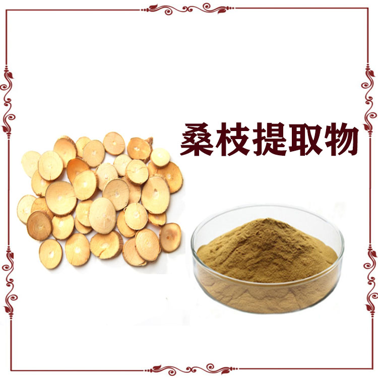 桑枝提取物 速溶粉 萃取粉 120目精细粉末 沃特莱斯生物可寄样