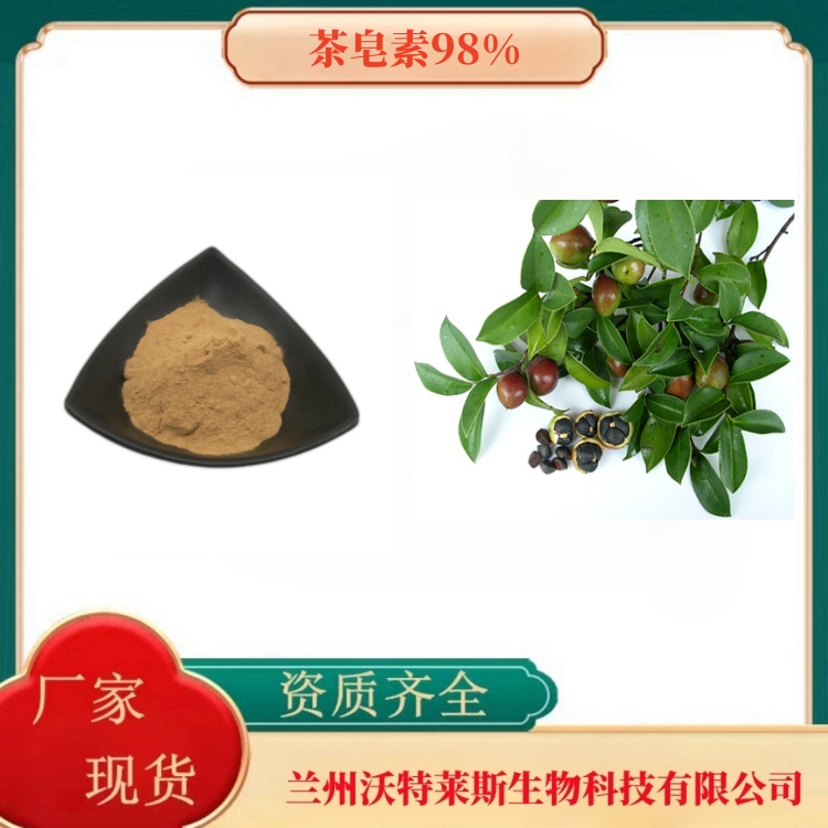 茶皂素98%支持检测茶叶籽提取物无中间商Tea saponin茶皂甙