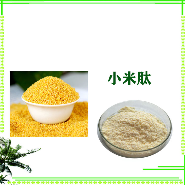 小米低聚肽 小米多肽 500-1000道尔顿 精细粉末 水溶性好