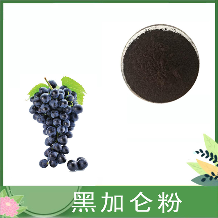 黑加仑粉 水溶黑加仑果粉 固体饮料糖果可用 黑茶藨子果粉 喷雾干燥现货
