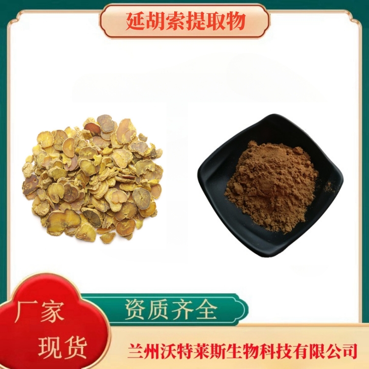 延胡索提取物 水溶延胡索粉 SC沃特莱斯   元胡提取 延胡索浸膏粉 现货