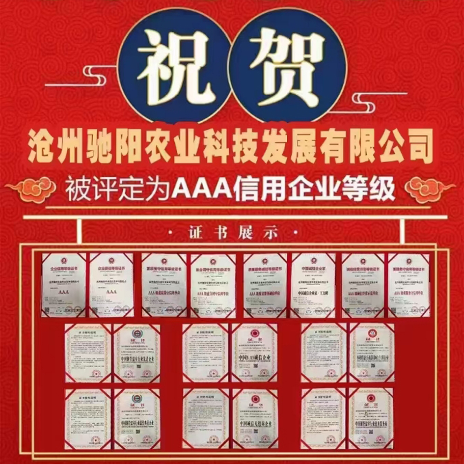 驰阳农业，高凭A农业·哪个公司建棚好，好棚驰阳造