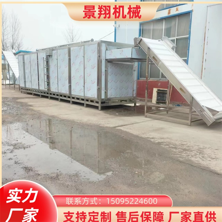 景翔牌 果蔬干燥机 电加热果蔬烘干机 连续式水果干烘烤机