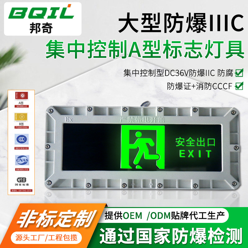 集中控制防爆应急灯安全出口指示灯LED疏散指示灯智能应急标志灯