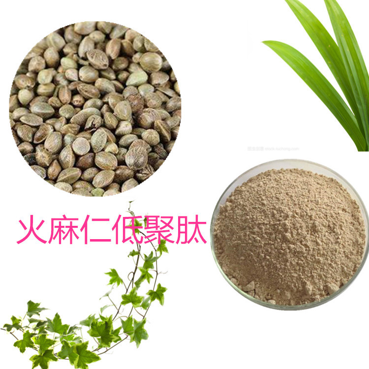 火麻仁蛋白 80%火麻仁蛋白粉 火麻仁提取物20:1 可水溶现货含运 一公斤起订
