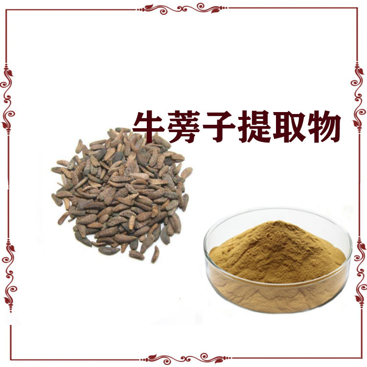 牛蒡子提取物 萃取粉 喷雾干燥粉 大量库存 可寄样