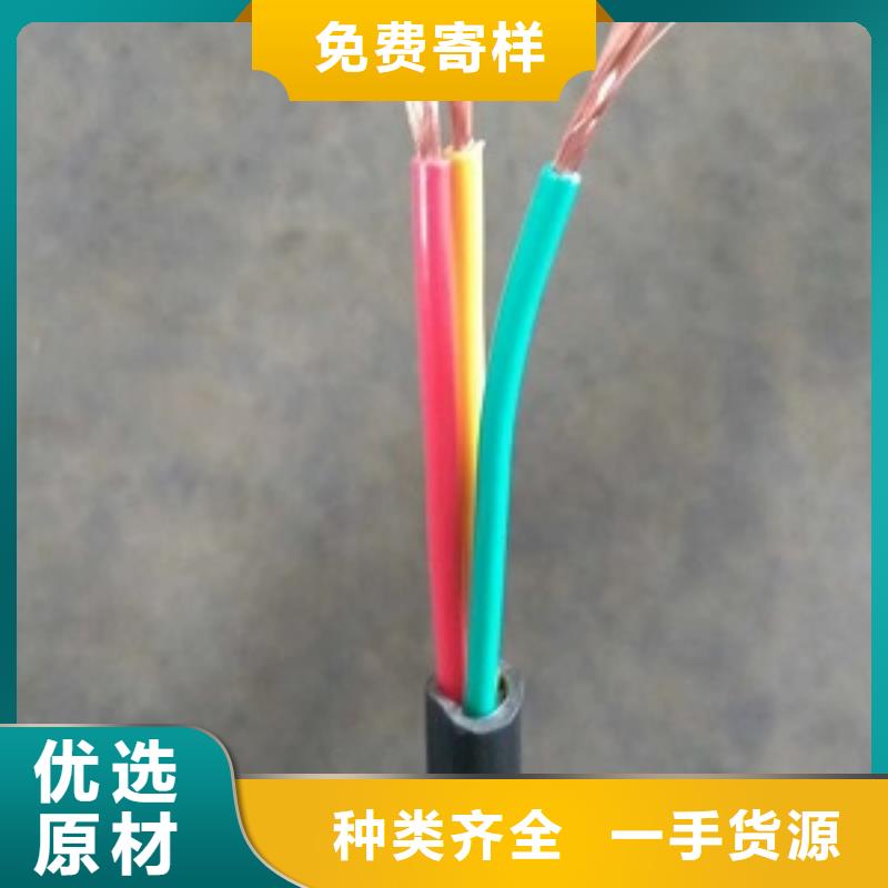 PTYL23 PZYA23(PTYA23)PZYA22(PTYA22)铁路信号电缆