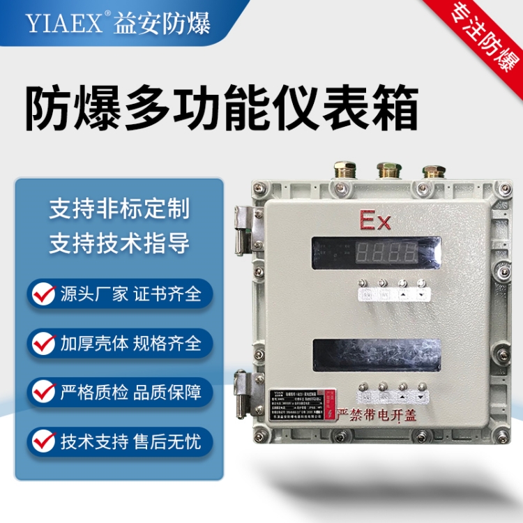 防爆多功能仪表箱 仪表控制箱显示箱加工定制