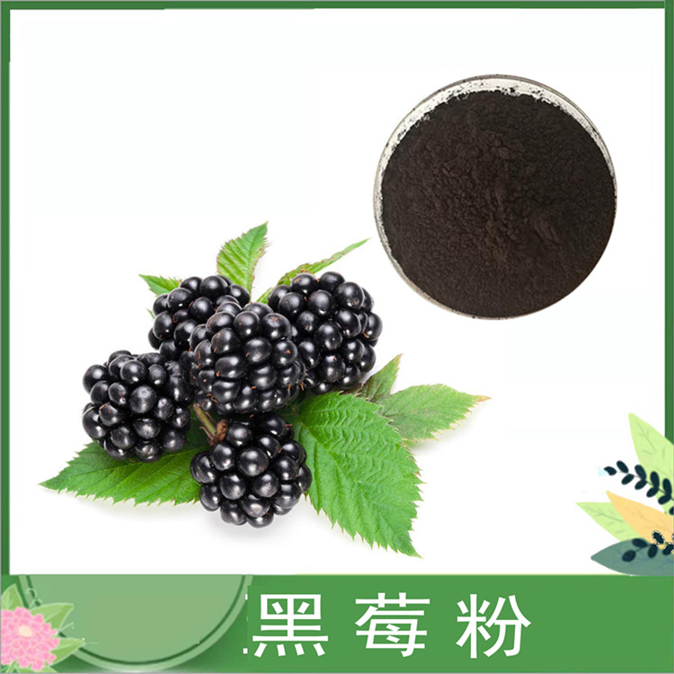 黑莓粉 水溶性黑莓果汁粉 露莓水果粉 黑莓提取物10:1 饮料糕点原料 免费发样