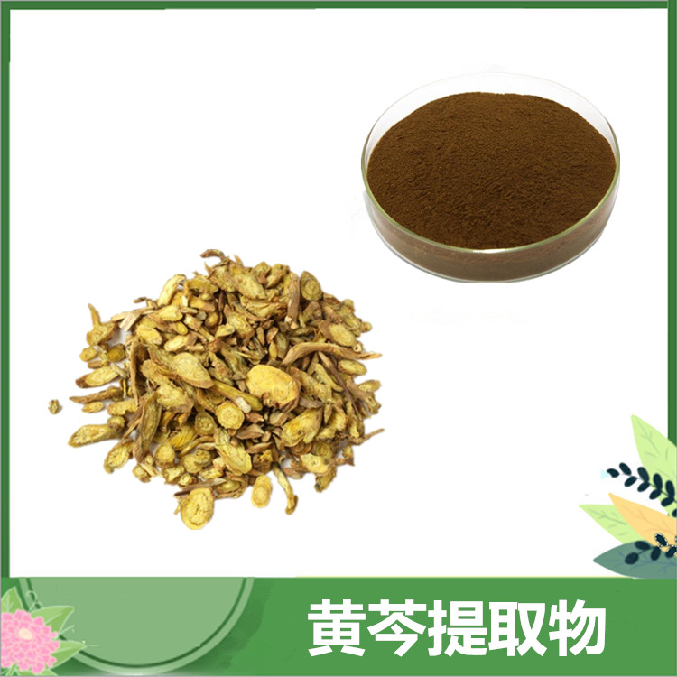 黄芩提取物 10:1比例萃取黄芩苷 水溶性黄芩粉 土金茶根提取物 喷雾干燥