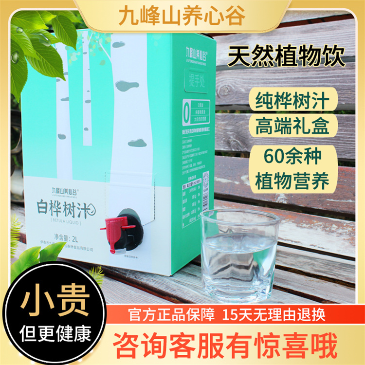 白桦树汁2L 种类齐全